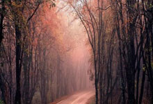 爱游戏官网：伊尼戈：弗里克对我充满信心；拉菲尼亚是真正的领袖.