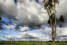 能单换徐杰？广东最适合的本土锋线曝光，这可是杜锋的争冠底牌！.