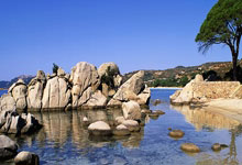 笑侃丨国足抗澳输在哪？伊万挨了两闷棍，塞鸟王钰栋应上尽上？.